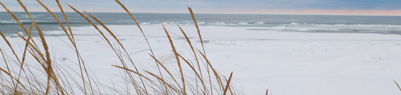 Scan danish beach winter