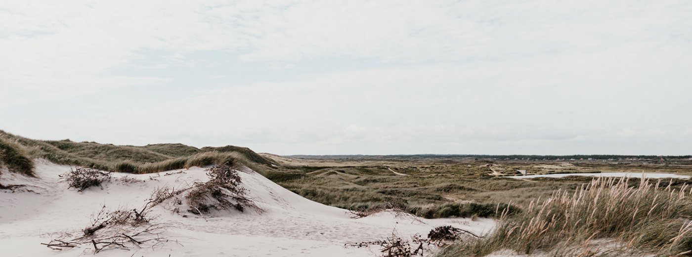 Danish beach