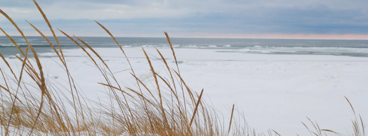 Danish beach