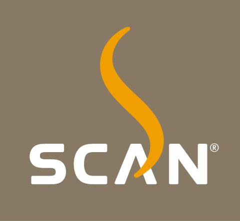 SCAN : poêle à bois en acier